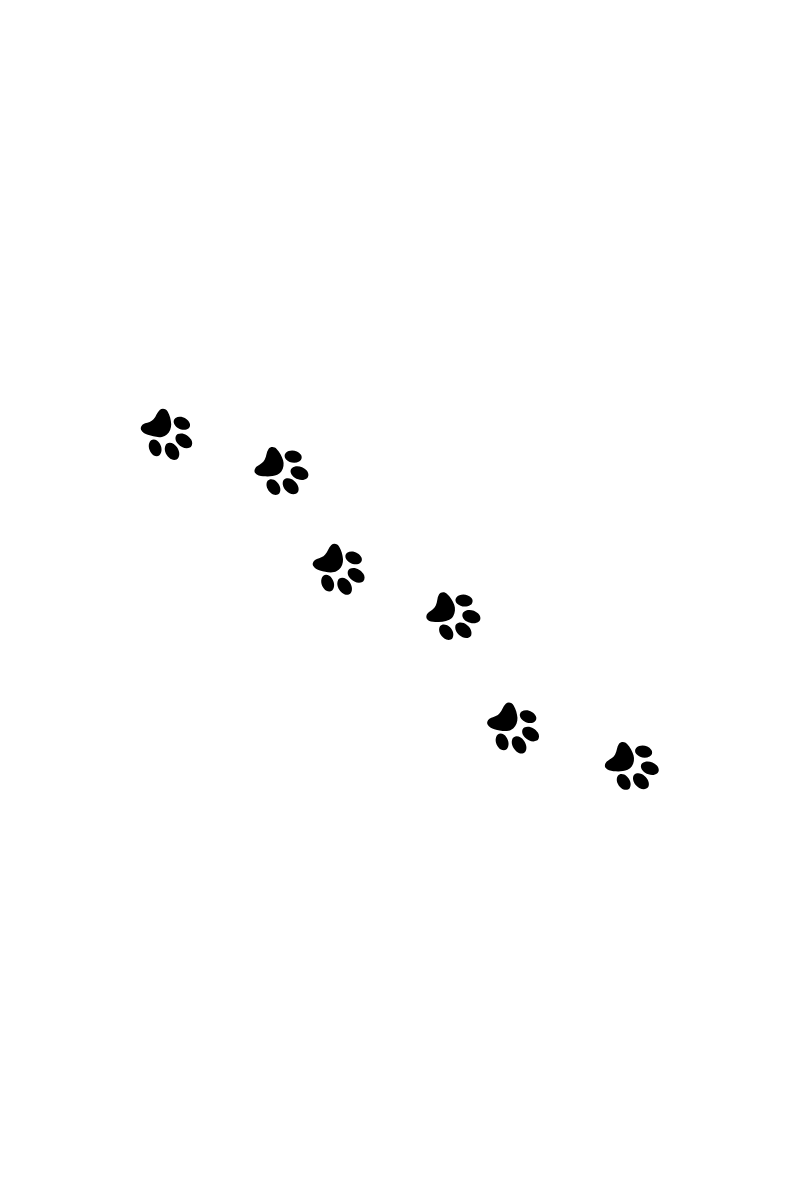 A Girl’s Best&nbsp;Friend